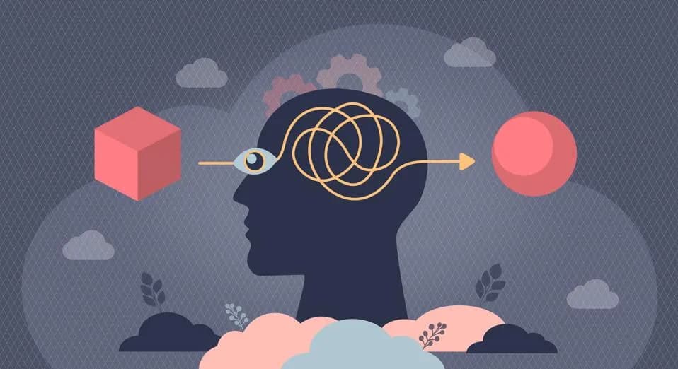 Illustration of a head in profile whose eye sees a red cube, with a tangled line through the brain emerging as an arrow pointing to a red sphere